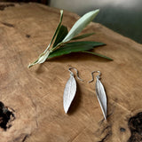 Hand Crafted Sterling Silver Earrings | Twisted Olive Leaf from Palestine