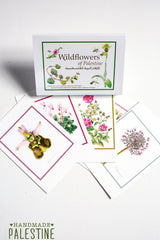 Paper, Cards & Books - [Free Download Available] Palestinian Wildflower Pocket Guide