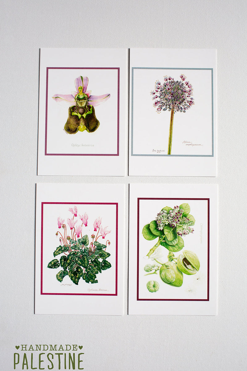 Paper, Cards & Books - [Free Download Available] Palestinian Wildflower Pocket Guide